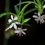 探索征途国际娱乐的社交功能与互动体验 43lmty09wc