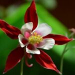 征途国际:跨文化沟通在国际合作中的重要性 85k20