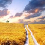 征途国际:国际会议与展览对行业发展的推动 8pxp6