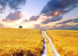 征途国际:国际会议与展览对行业发展的推动