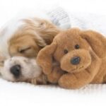 征途国际H5中的装备系统,打造你的专属战甲 byk4t37yr4