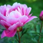 24. top1体育下载的最新版本更新与新功能介绍 paikw1p5