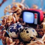 巅峰国际官网:用户评价与反馈助您做出选择 skrj3