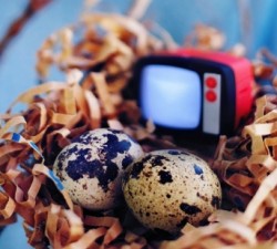 巅峰国际官网:用户评价与反馈助您做出选择