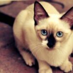 揭秘C7娱乐的独特活动与精彩赛事 vvpw3w