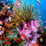 C7娱乐:如何打造成功的娱乐品牌 yjp02lpmh