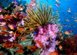 C7娱乐:如何打造成功的娱乐品牌